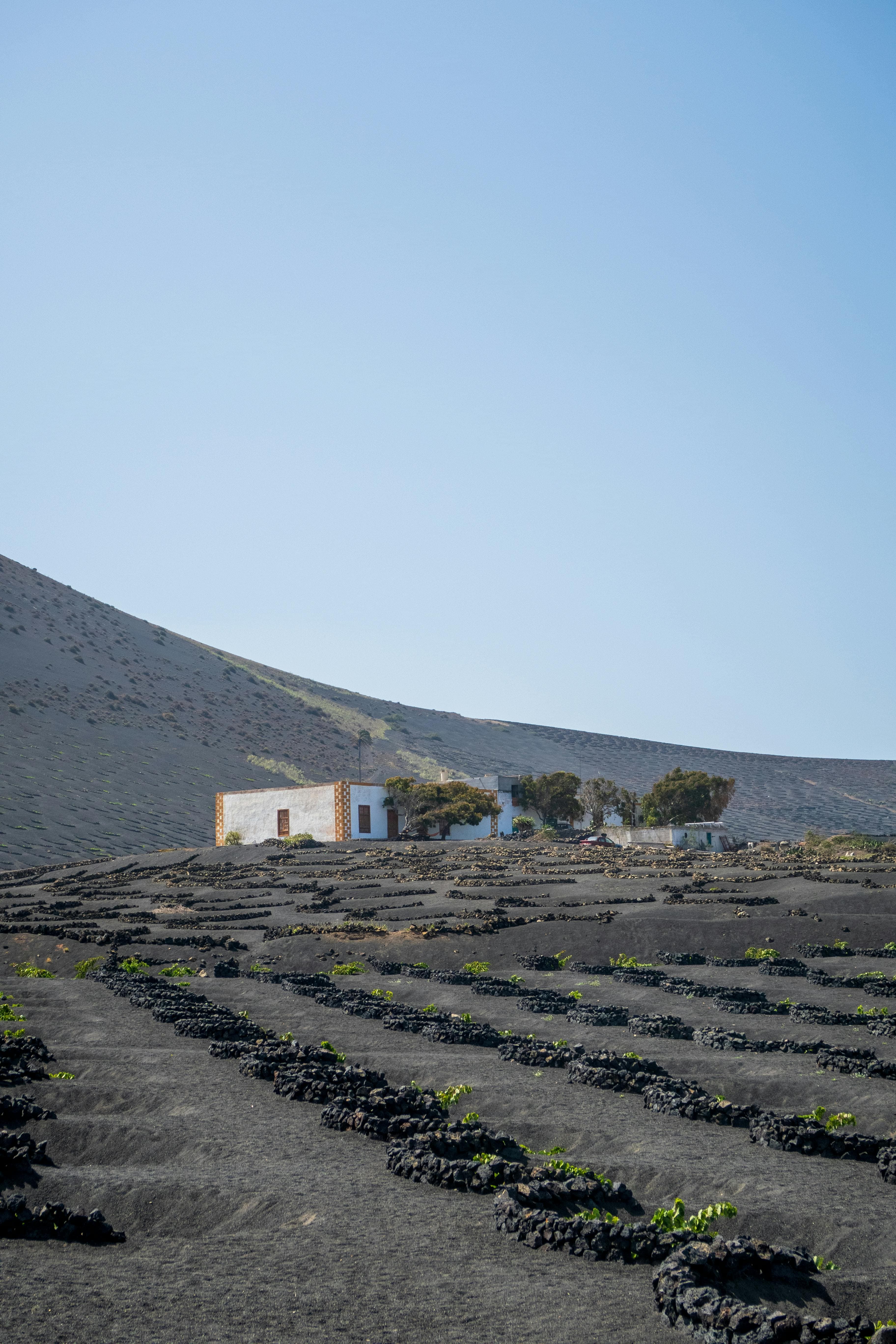 Privates Abendessen bei Sonnenuntergang auf einer Vulkanklippe auf Lanzarote